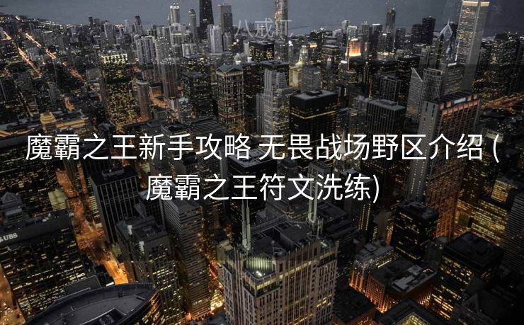 魔霸之王新手攻略 无畏战场野区介绍 (魔霸之王符文洗练)