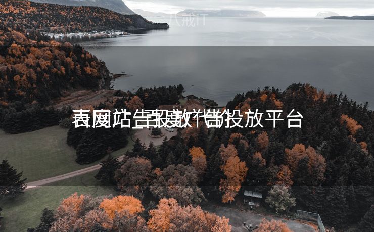 百度广告投放代价
表网站_百度广告投放平台