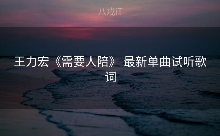 王力宏《需要人陪》 最新单曲试听歌词