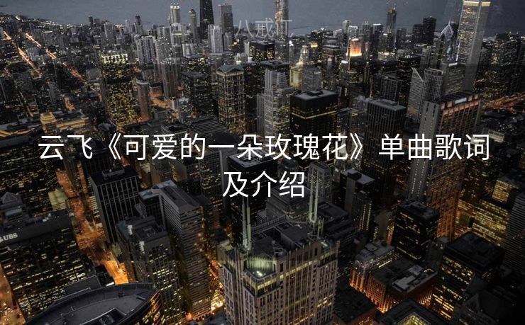 云飞《可爱的一朵玫瑰花》单曲歌词及介绍