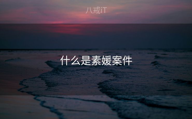什么是素媛案件