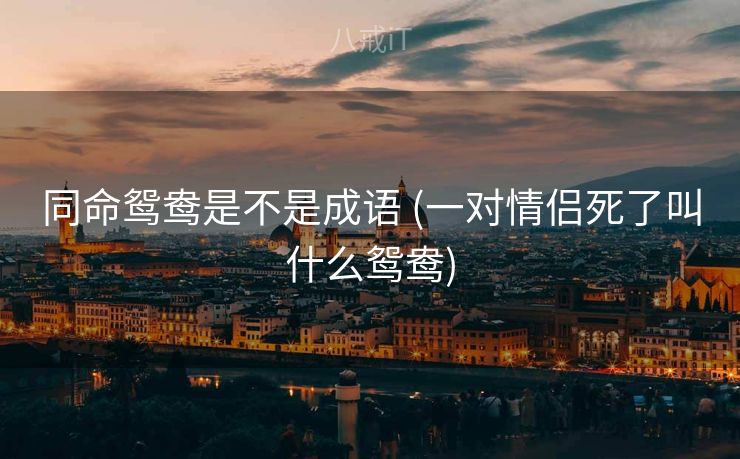 同命鸳鸯是不是成语 (一对情侣死了叫什么鸳鸯) 同命鸳鸯是不是成语 (一对情侣死了叫什么鸳鸯)