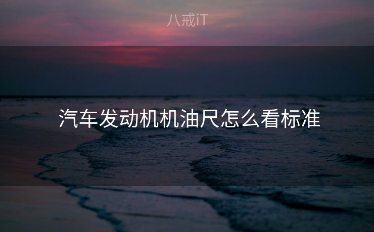 汽车发动机机油尺怎么看标准 汽车发动机机油尺怎么看标准