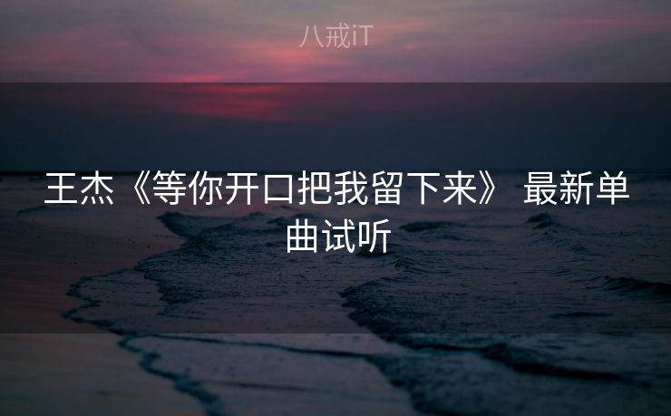 王杰《等你开口把我留下来》 最新单曲试听
