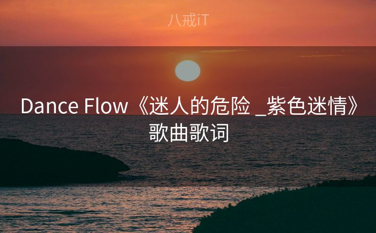 Dance Flow《迷人的危险 _紫色迷情》歌曲歌词