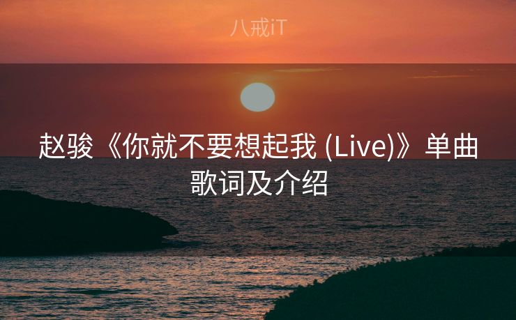 赵骏《你就不要想起我 (Live)》单曲歌词及介绍