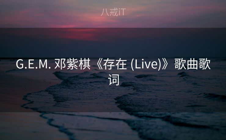G.E.M. 邓紫棋《存在 (Live)》歌曲歌词
