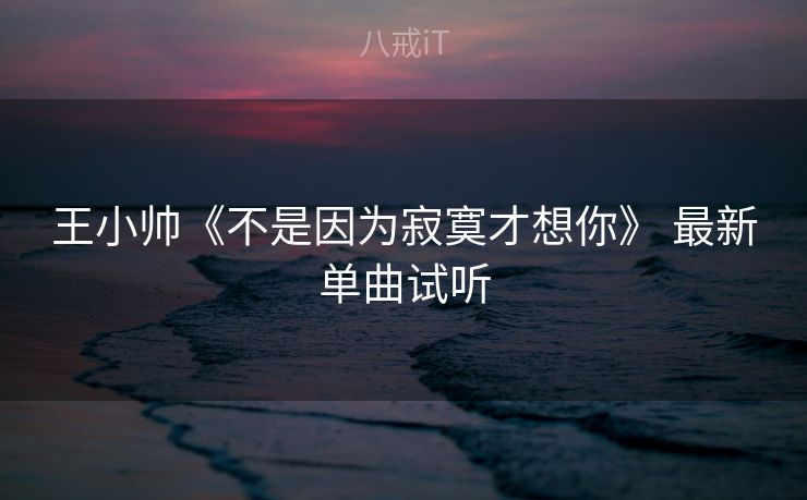 王小帅《不是因为寂寞才想你》 最新单曲试听