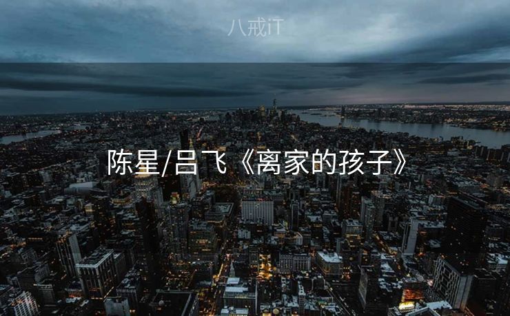 陈星/吕飞《离家的孩子》