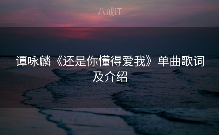 谭咏麟《还是你懂得爱我》单曲歌词及介绍