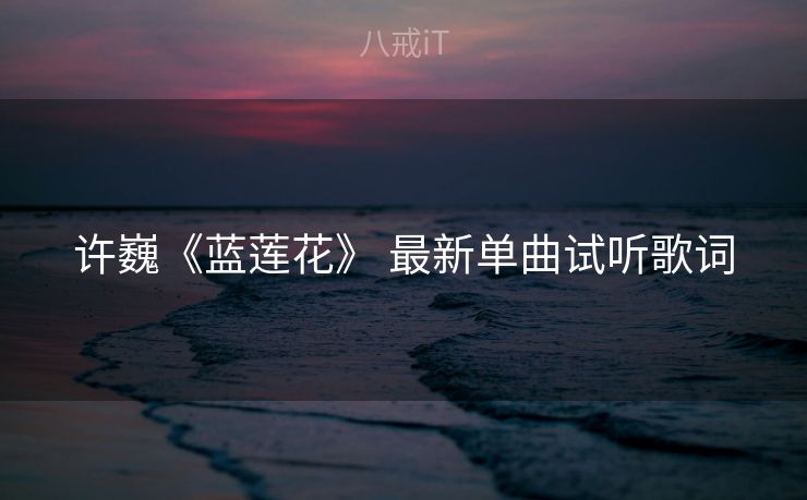 许巍《蓝莲花》 最新单曲试听歌词