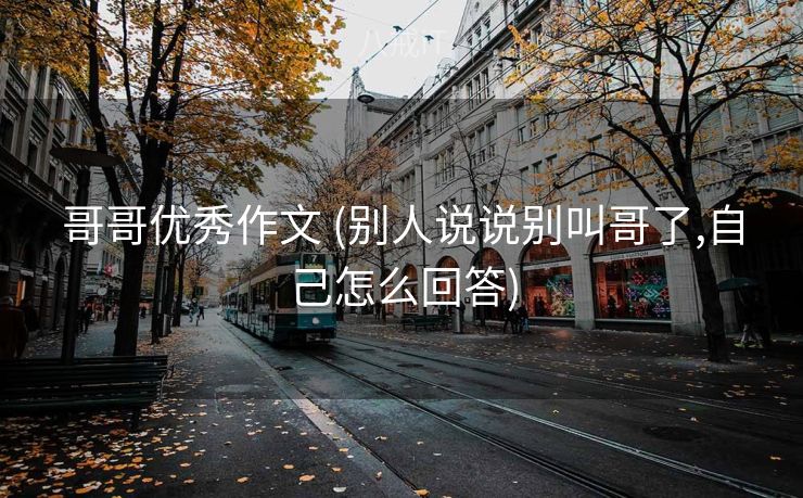 哥哥优秀作文 (别人说说别叫哥了,自己怎么回答)