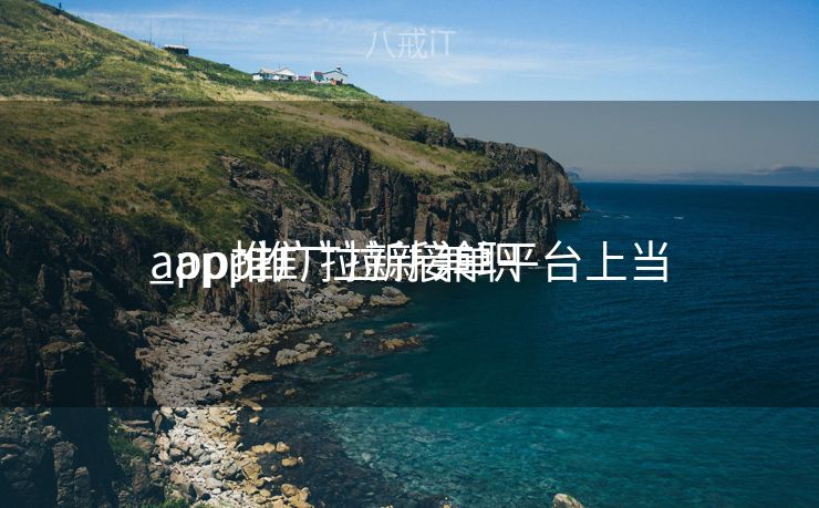 app推广拉新接单平台上当

_app推广拉新兼职