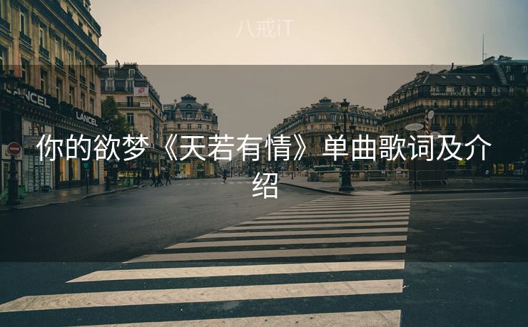 你的欲梦《天若有情》单曲歌词及介绍