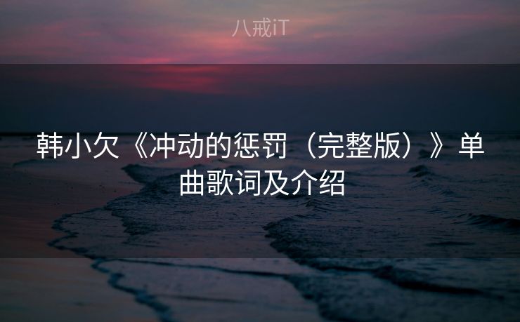 韩小欠《冲动的惩罚（完整版）》单曲歌词及介绍