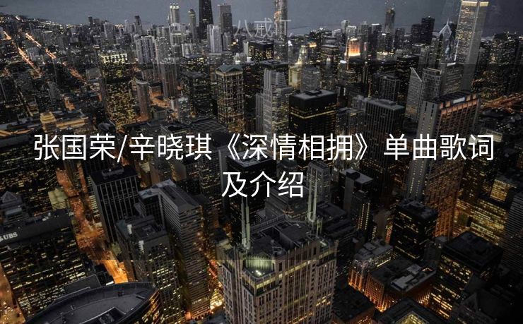 张国荣/辛晓琪《深情相拥》单曲歌词及介绍