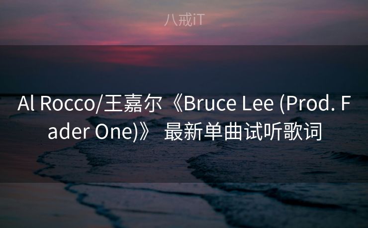 Al Rocco/王嘉尔《Bruce Lee (Prod. Fader One)》 最新单曲试听歌词