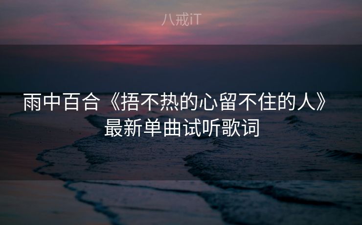 雨中百合《捂不热的心留不住的人》 最新单曲试听歌词 雨中百合《捂不热的心留不住的人》 最新单曲试听歌词