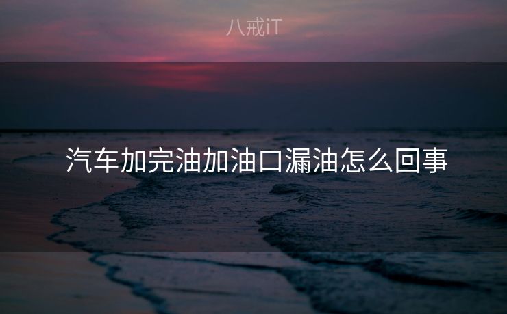  汽车加完油加油口漏油怎么回事