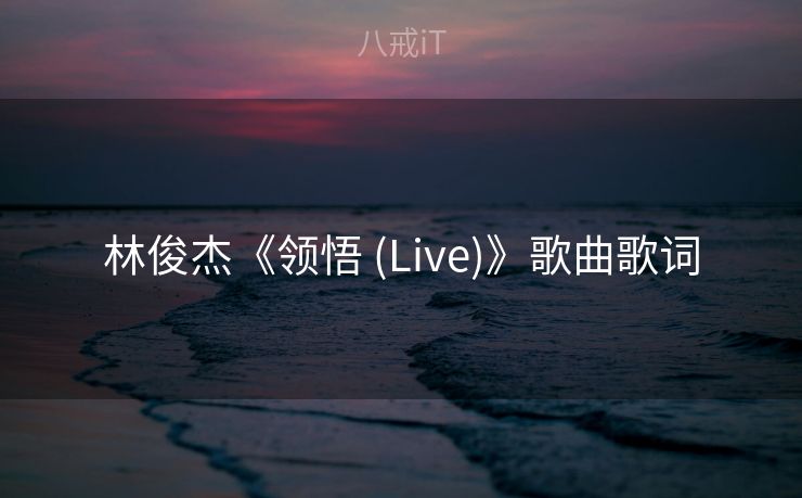 林俊杰《领悟 (Live)》歌曲歌词 林俊杰《领悟 (Live)》歌曲歌词