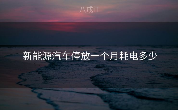  新能源汽车停放一个月耗电多少