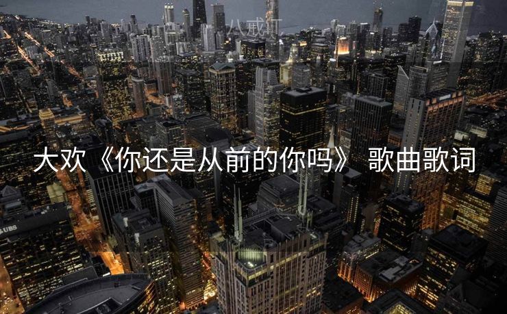 大欢《你还是从前的你吗》 歌曲歌词