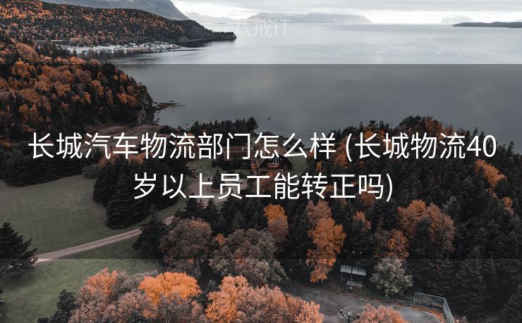 长城汽车物流部门怎么样 (长城物流40岁以上员工能转正吗)