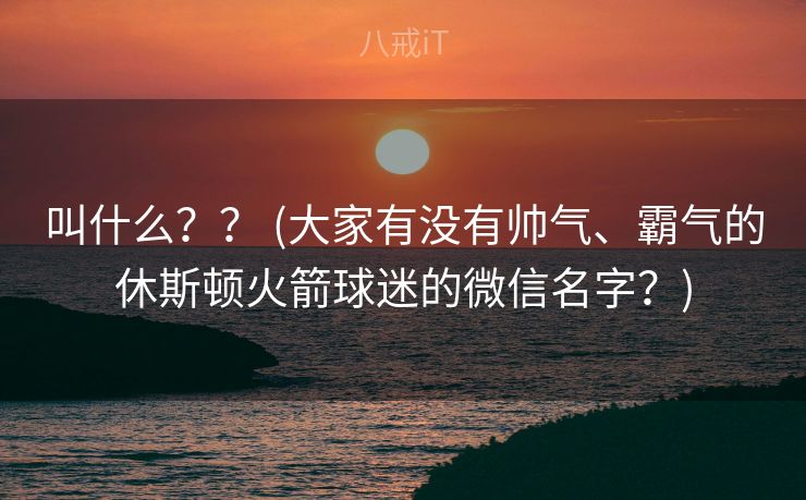 叫什么？？ (大家有没有帅气、霸气的休斯顿火箭球迷的微信名字？)