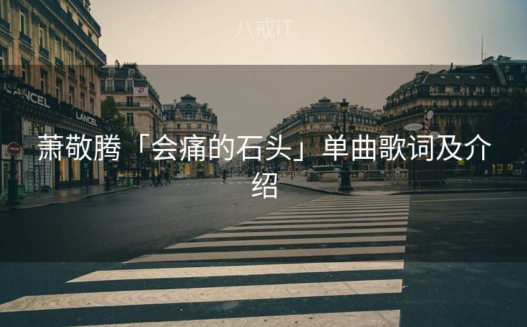 萧敬腾「会痛的石头」单曲歌词及介绍 萧敬腾「会痛的石头」单曲歌词及介绍