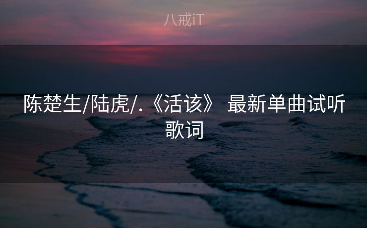 陈楚生/陆虎/.《活该》 最新单曲试听歌词