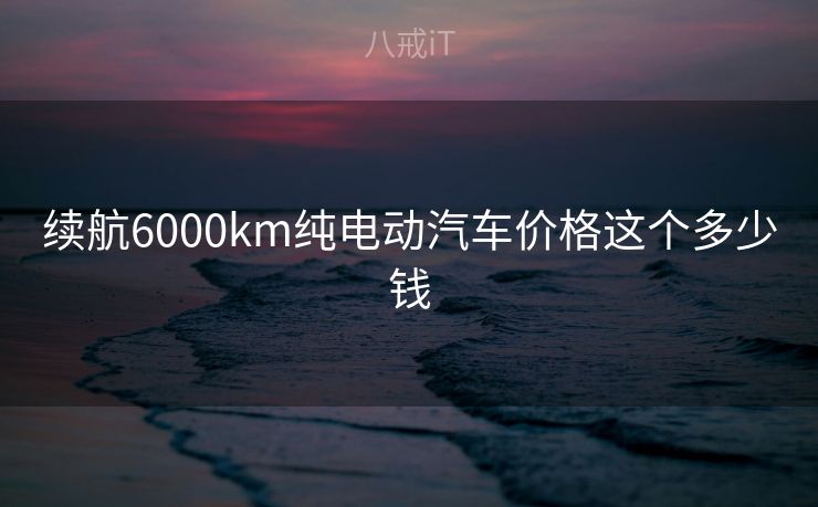 续航6000km纯电动汽车价格这个多少钱