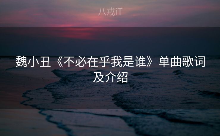 魏小丑《不必在乎我是谁》单曲歌词及介绍