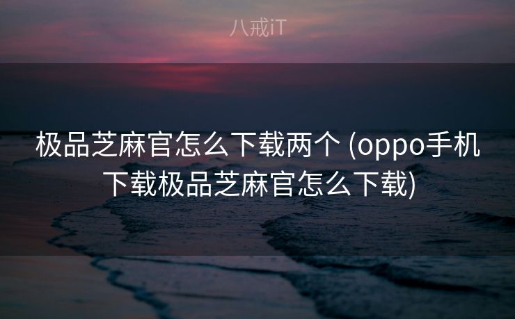 极品芝麻官怎么下载两个 (oppo手机下载极品芝麻官怎么下载)