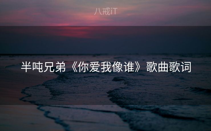 半吨兄弟《你爱我像谁》歌曲歌词