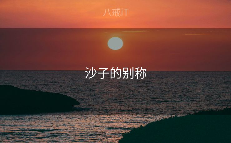 沙子的别称 沙子的别称