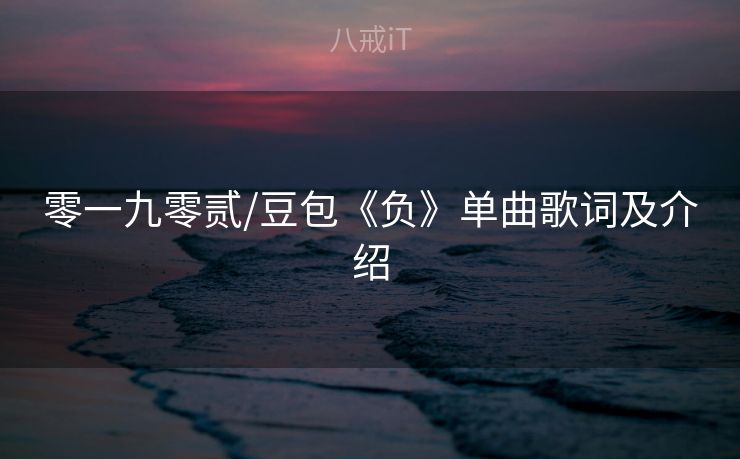 零一九零贰/豆包《负》单曲歌词及介绍