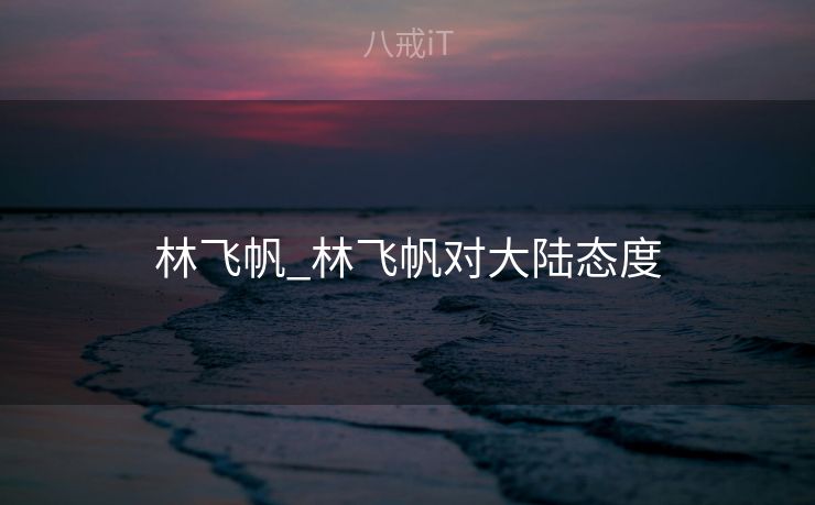 林飞帆_林飞帆对大陆态度