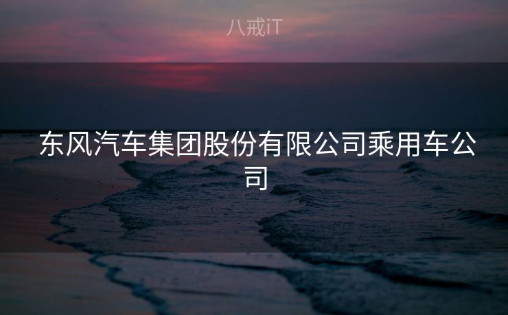  东风汽车集团股份有限公司乘用车公司