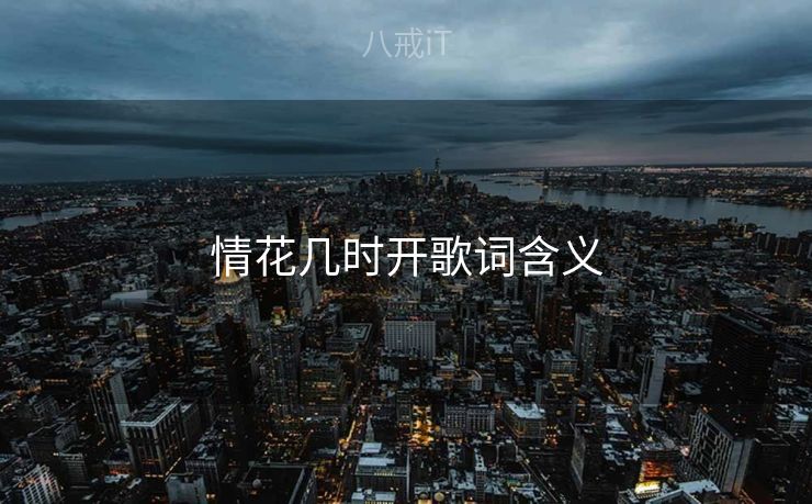 情花几时开歌词含义 情花几时开歌词含义