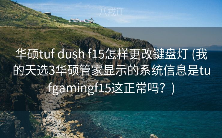 华硕tuf dush f15怎样更改键盘灯 (我的天选3华硕管家显示的系统信息是tufgamingf15这正常吗？)