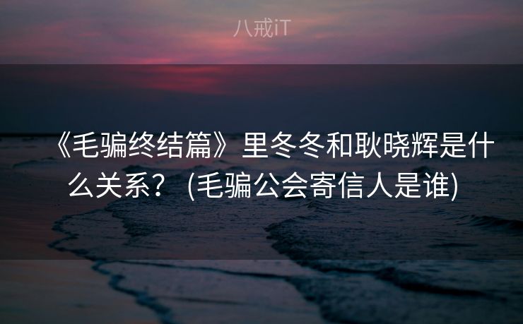 《毛骗终结篇》里冬冬和耿晓辉是什么关系？ (毛骗公会寄信人是谁)