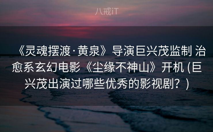 《灵魂摆渡·黄泉》导演巨兴茂监制 治愈系玄幻电影《尘缘不神山》开机 (巨兴茂出演过哪些优秀的影视剧？)