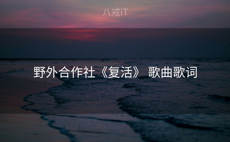野外合作社《复活》 歌曲歌词 野外合作社《复活》 歌曲歌词
