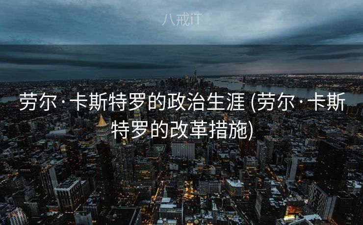 劳尔·卡斯特罗的政治生涯 (劳尔·卡斯特罗的改革措施)