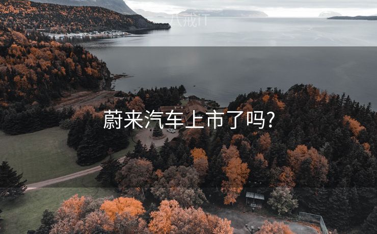 蔚来汽车上市了吗?