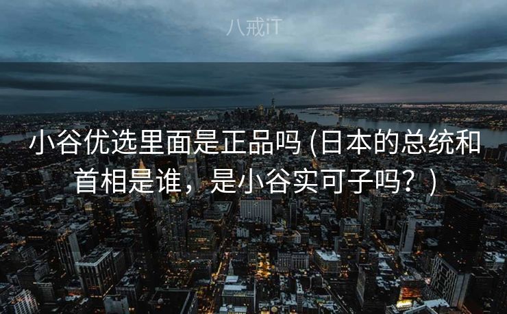 小谷优选里面是正品吗 (日本的总统和首相是谁，是小谷实可子吗？)