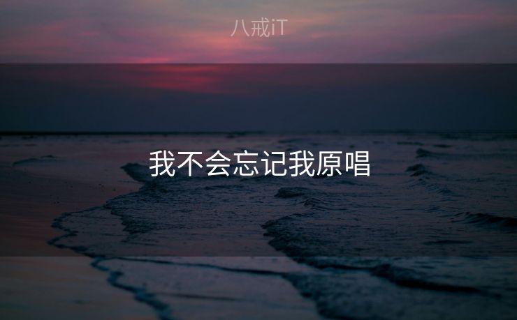我不会忘记我原唱