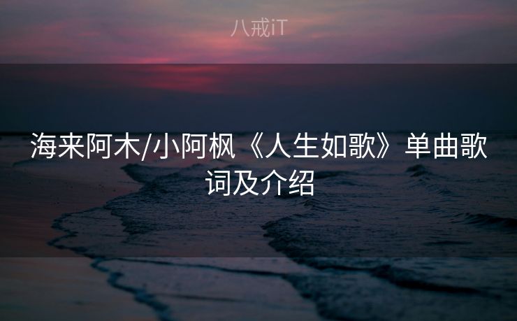 海来阿木/小阿枫《人生如歌》单曲歌词及介绍