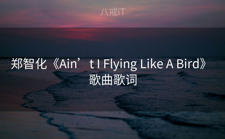 郑智化《Ain’t I Flying Like A Bird》 歌曲歌词