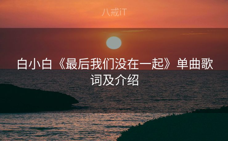 白小白《最后我们没在一起》单曲歌词及介绍